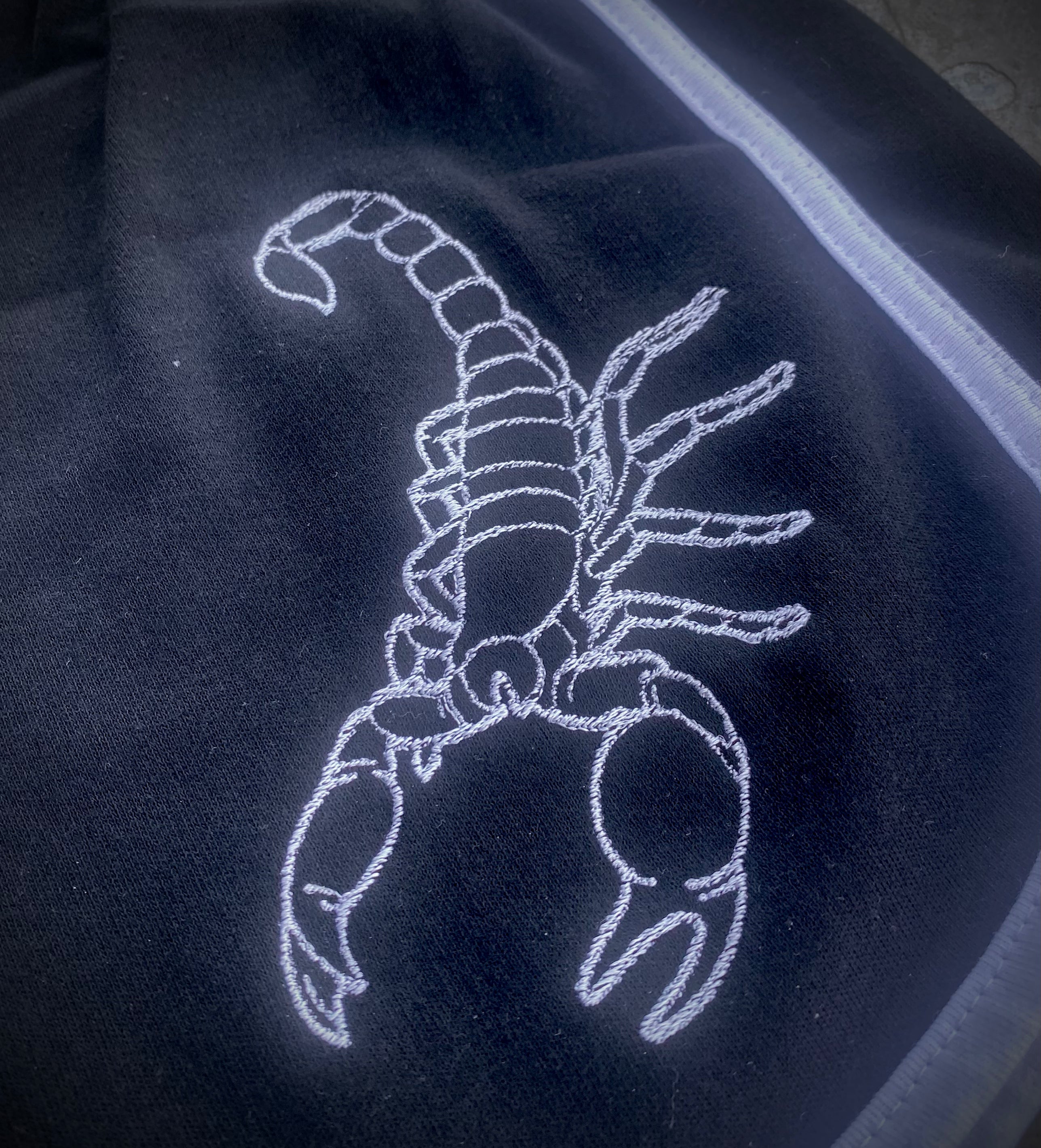 El Scorpion Embroidered Shorts